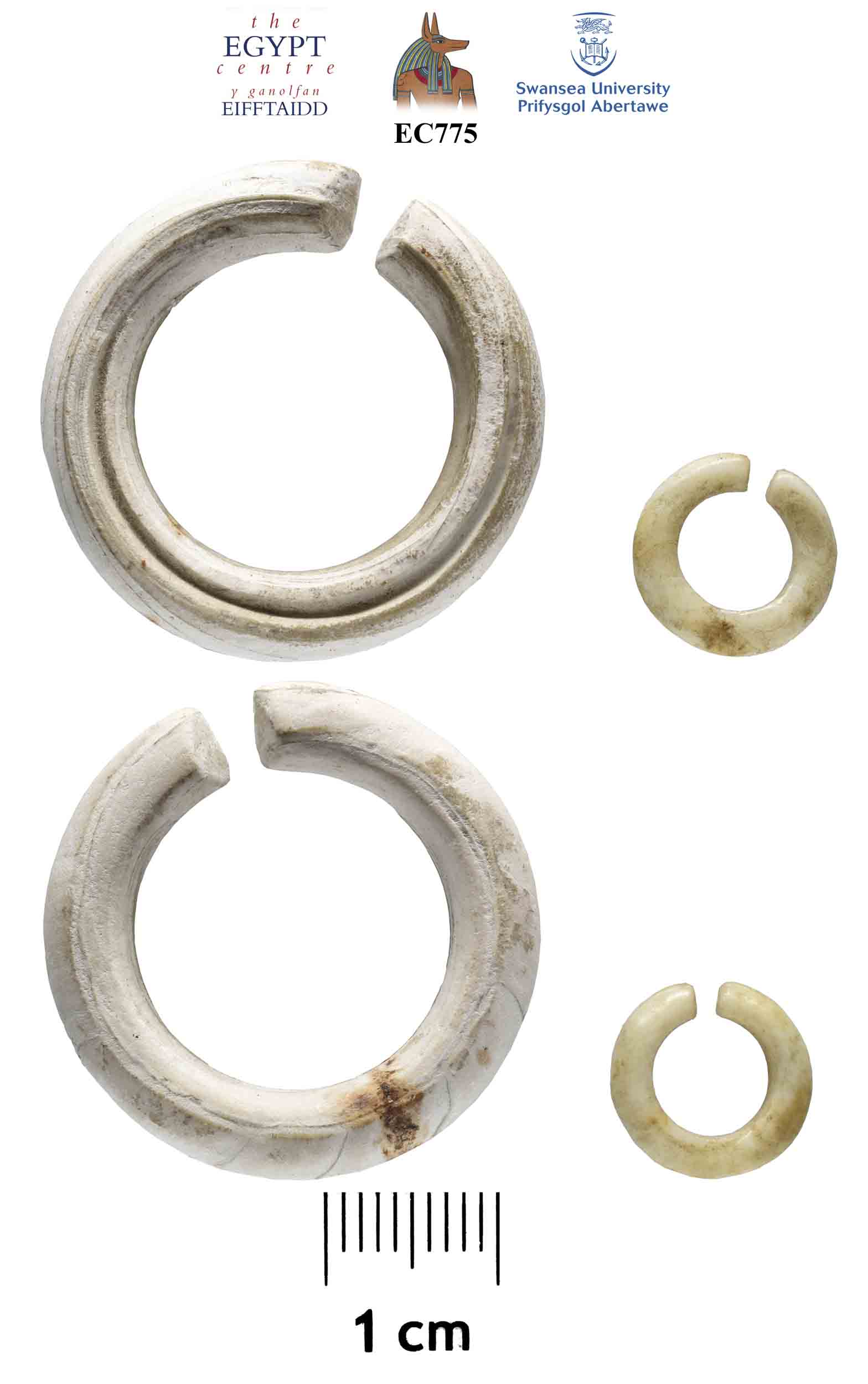 Image for: Ivory hair rings
